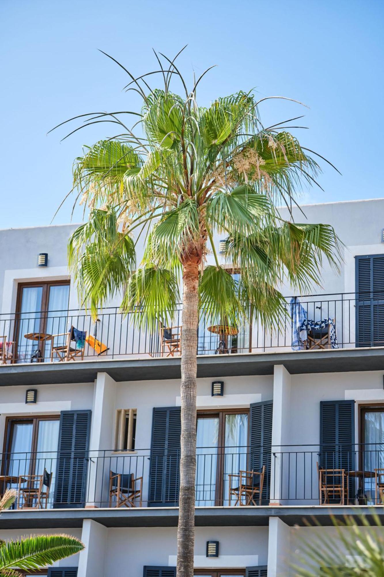 Hotel Boutique Bon Repos - Adults Only Santa Ponsa Exterior photo